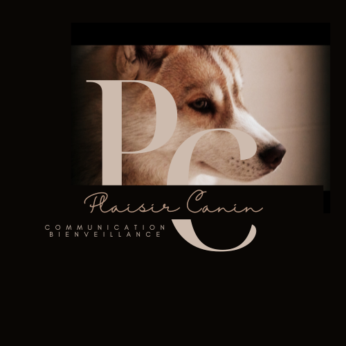 PLAISIR CANIN