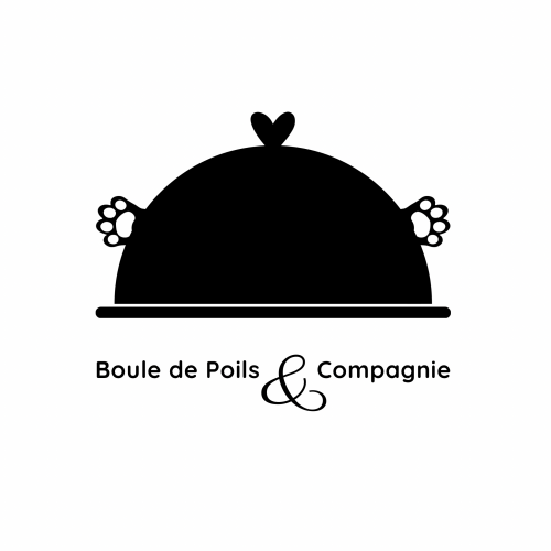 Boule de Poils & Compagnie ® Pension pour chats ⍟⍟⍟