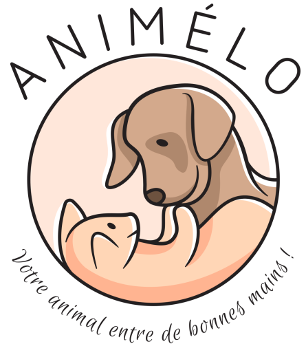 Animélo