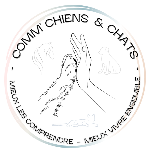 COMM' CHIENS & CHATS
