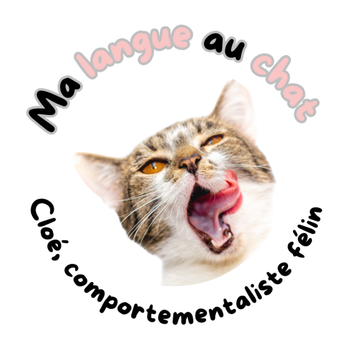 Cloé, comportementaliste félin