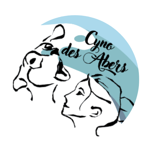 Cyno des Abers - Education, Comportement, Pension, Coach Mantrailing