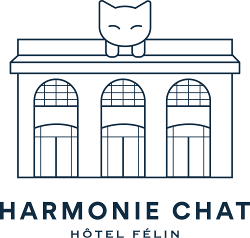 HARMONIE CHAT
