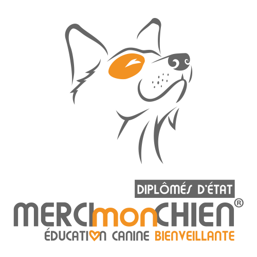 Merci Mon Chien - Education Canine Bienveillante®️