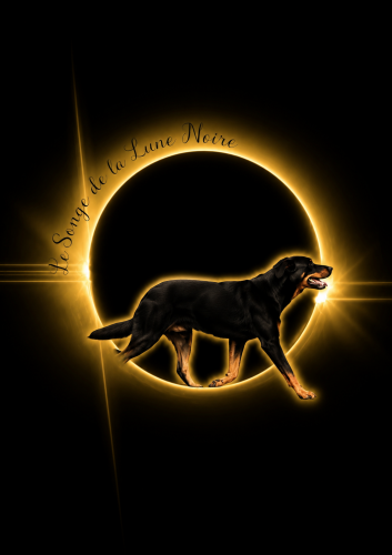 Le Songe de la Lune Noire