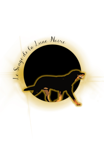 Le Songe de la Lune Noire