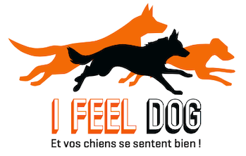 I Feel Dog