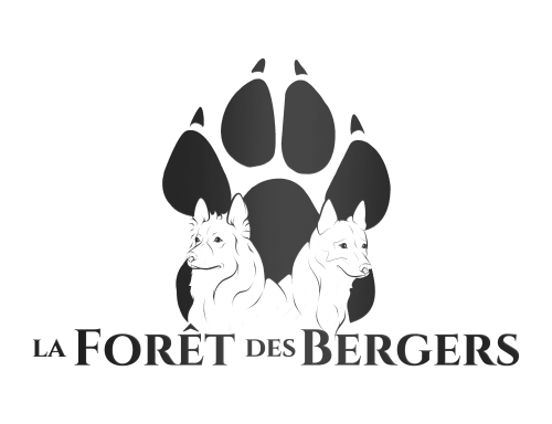 Pension Canine de La Forêt des Bergers