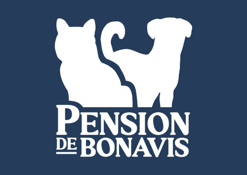 Pension de Bonavis