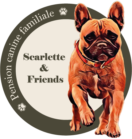 Scarlette & Friends