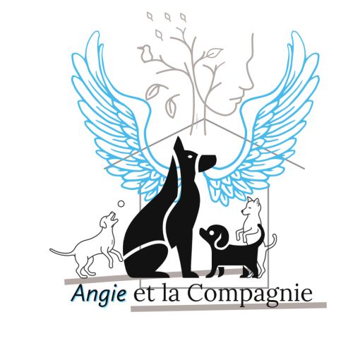 Angie et la Compagnie