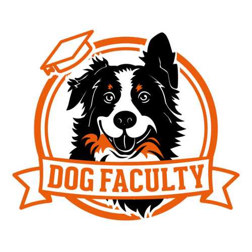 Dog Faculty