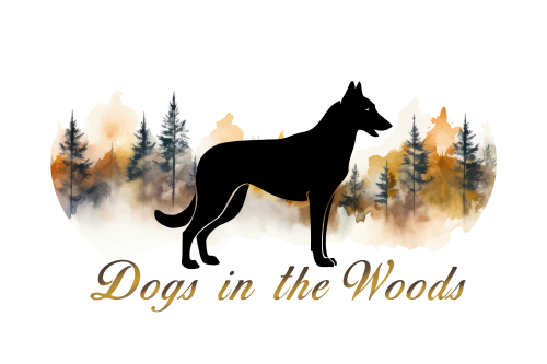 Dogs in the Woods