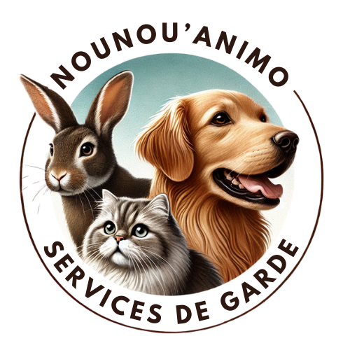 Nounou Animo - EI -