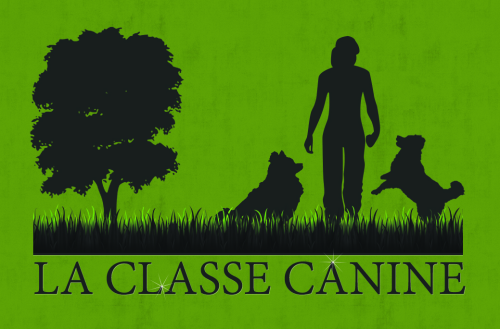 LA CLASSE CANINE