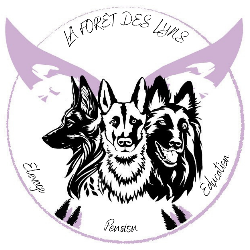 Centre Canin de la Forêt des Lyns