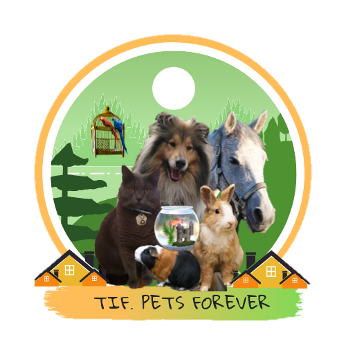 Tif Pets Forever
