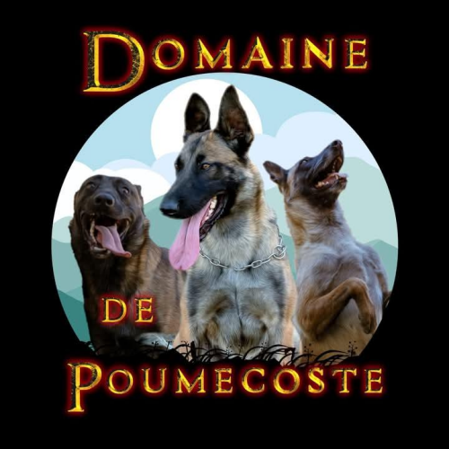 Domaine de Poumecoste