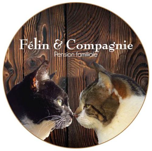 Félin & Compagnie