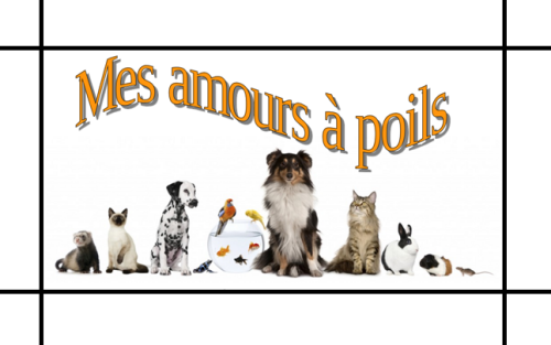 Mes Amours à Poils