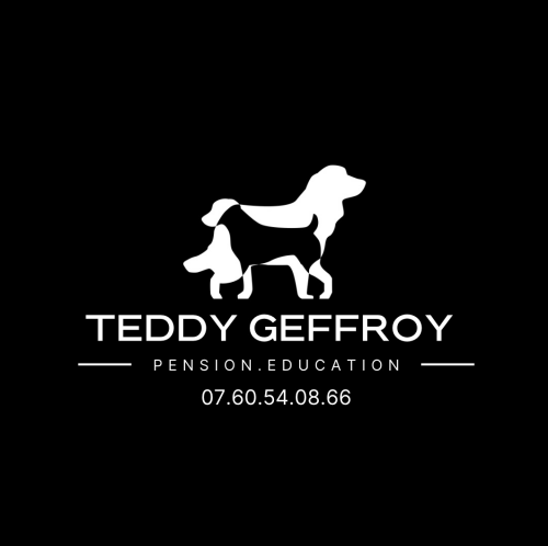 Pension Education Teddy Geffroy
