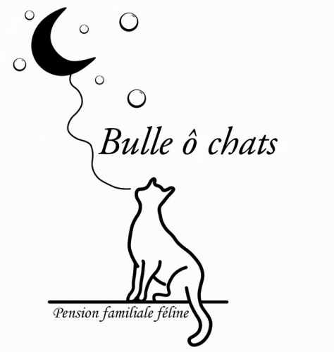 Bulle ô Chats