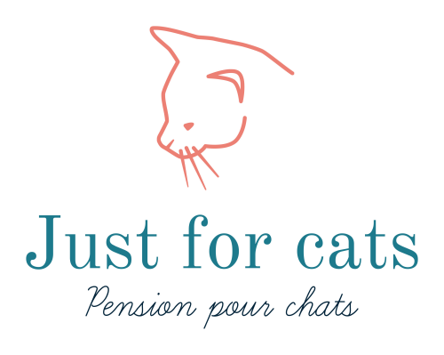 JUST FOR CATS