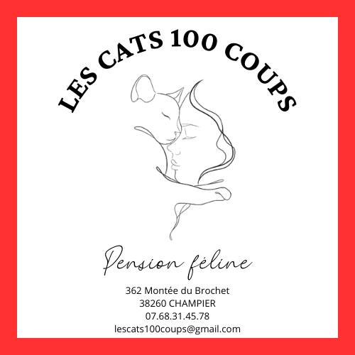 LES CATS 100 COUPS