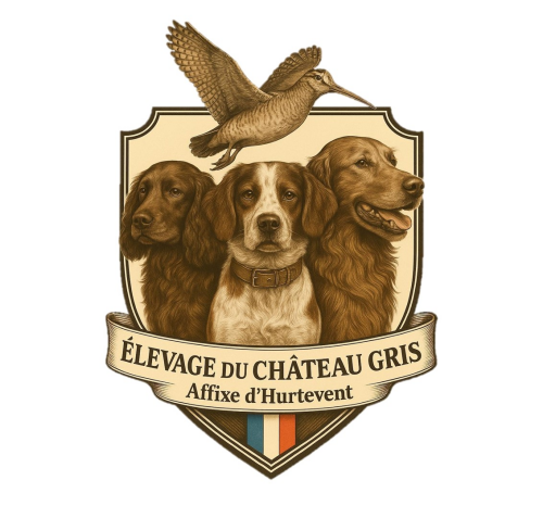 Élevage du Château Gris