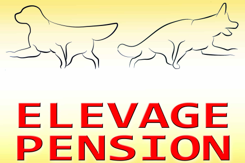 Elevage Pension des Légendaires Nahauri