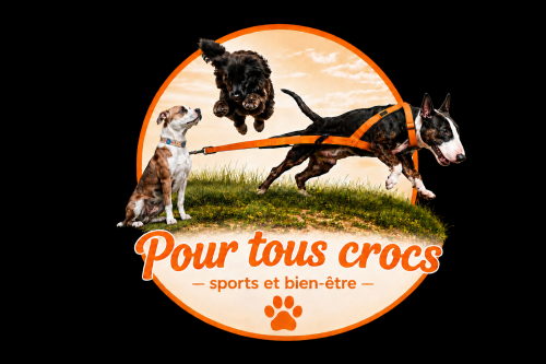 Pour tous crocs