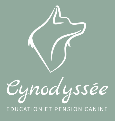 Cynodyssée - Education et Pension Canine