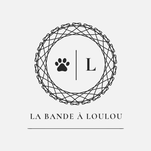 La Bande à Loulou