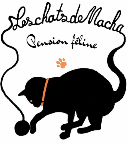 Les Chats de Macha