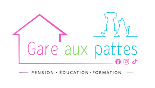 GARE AUX PATTES