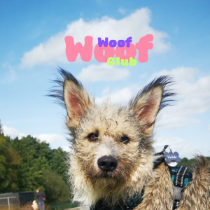 Woof Woof Club