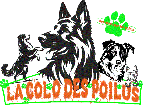 La Colo Des Poilus