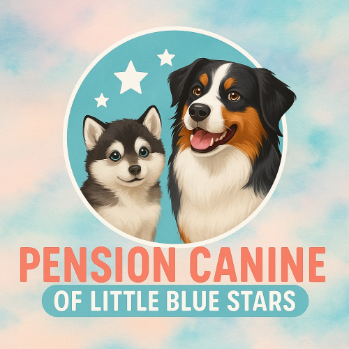 PENSION OF LITTLE BLUE STARS