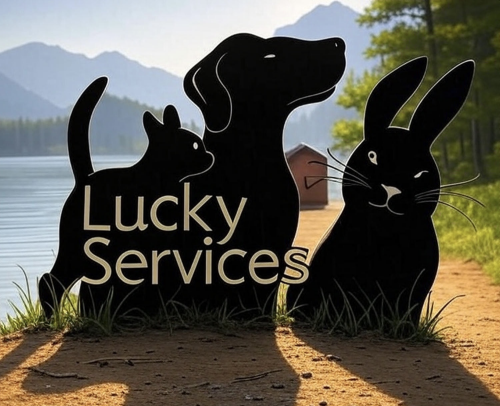 Lucky Services