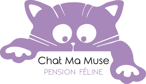 CHAT MA MUSE