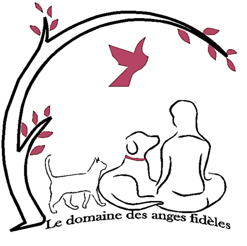 Le Domaine des Anges Fidèles