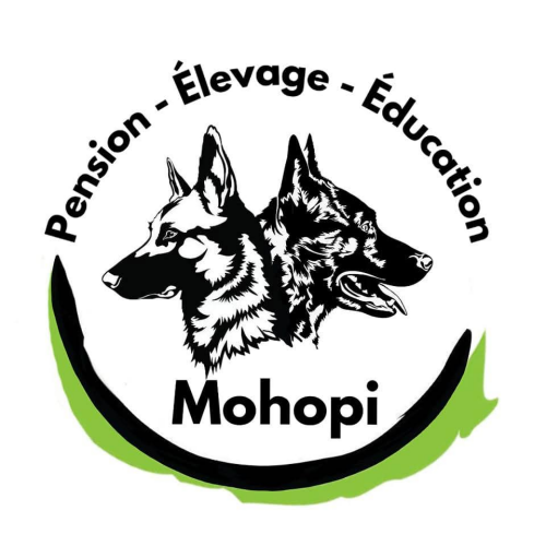 Chez MOHOPI