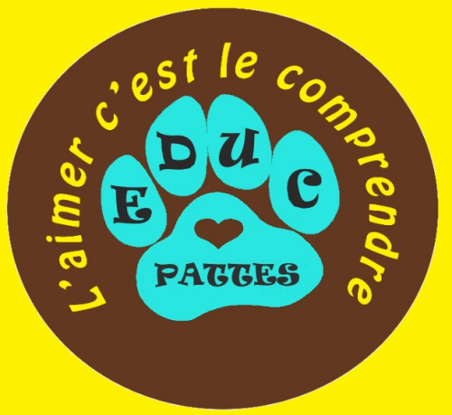 EDUC PATTES