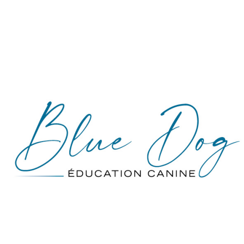BLUE DOG