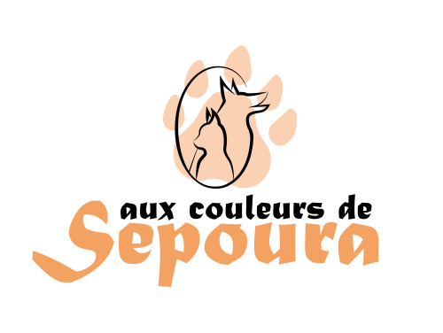 Aux Couleurs de Sepoura