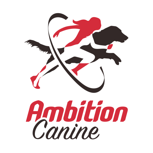Ambition Canine, Estelle Lavenas, EI