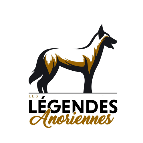 Mélinda Warocquier - Le Domaine des Legendes Anoriennes