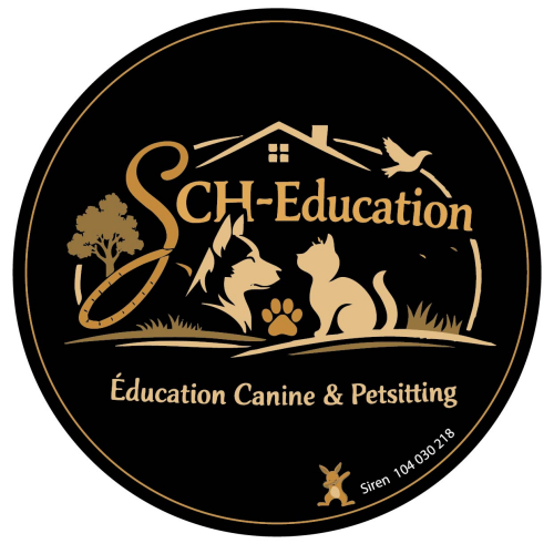 Sch-Education