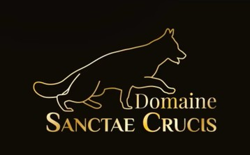 Domaine de Sanctae Crucis