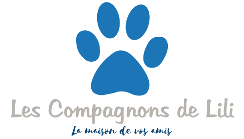 Les Compagnons de Lili
